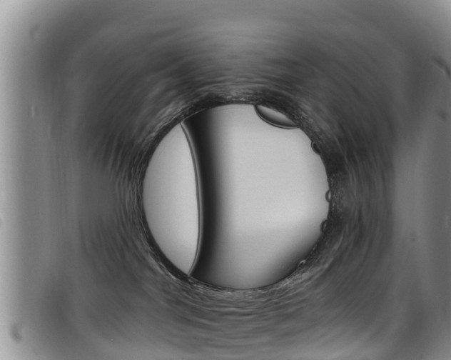 X0000098210044200804241111