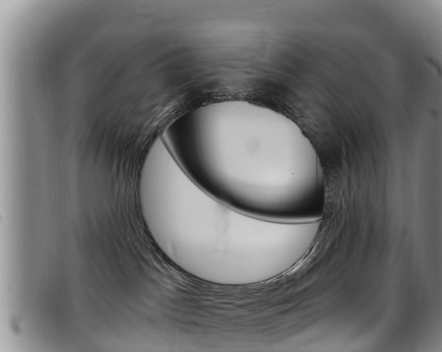 X0000098210045200804241111