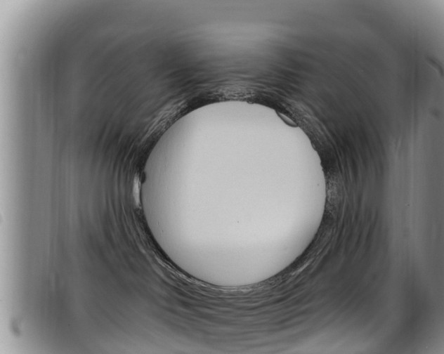 X0000098210046200804241111