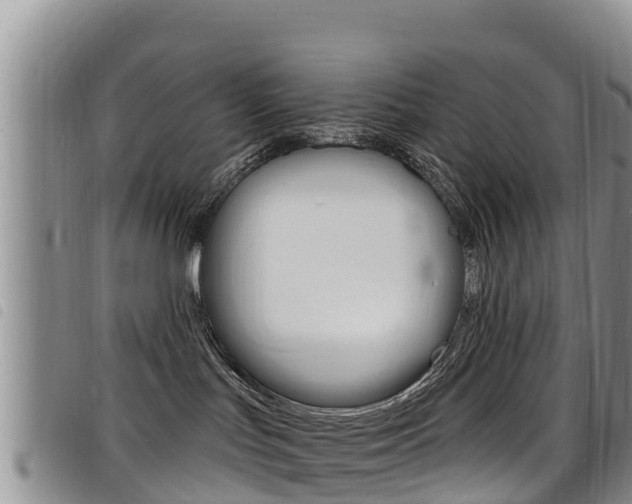 X0000098210047200804241111