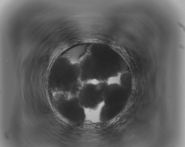 X0000098210049200804241111