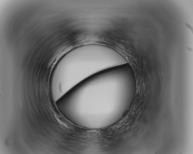 X0000098210050200804241111