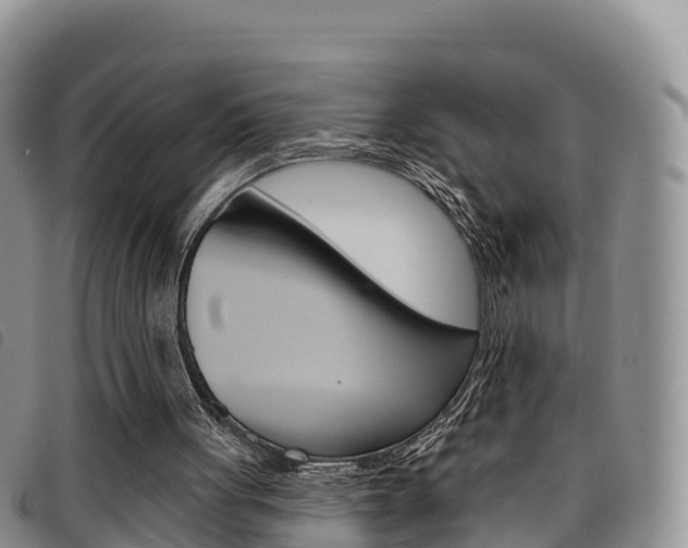 X0000098210051200804241111