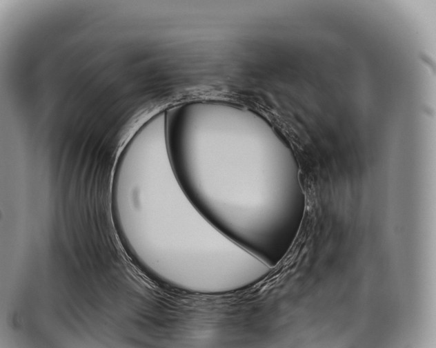 X0000098210052200804241111