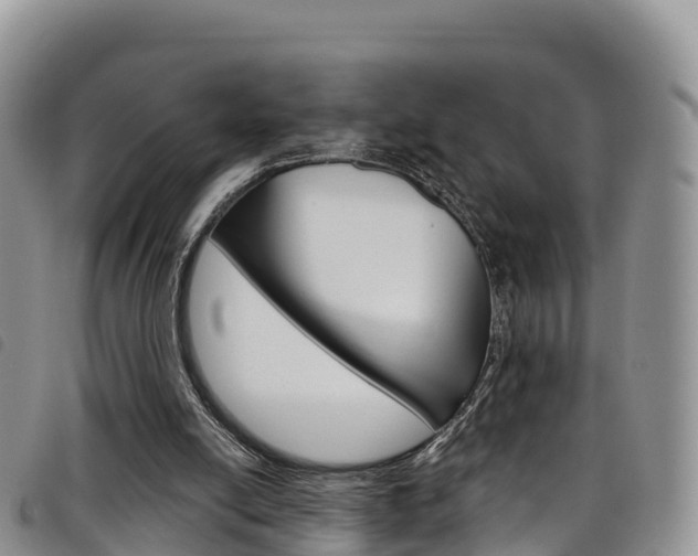 X0000098210054200804241111