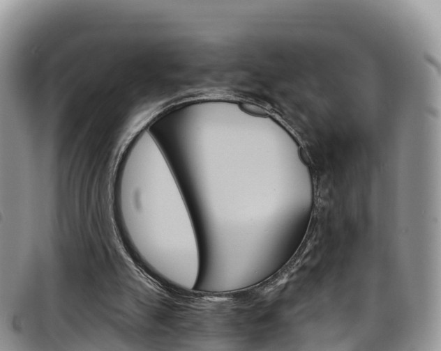 X0000098210055200804241111