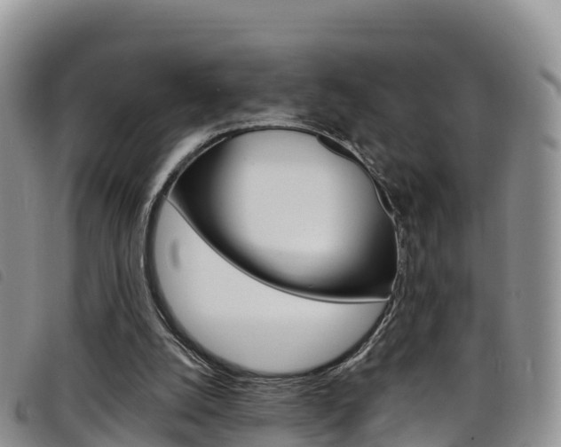 X0000098210056200804241111