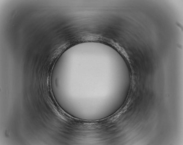 X0000098210057200804241111