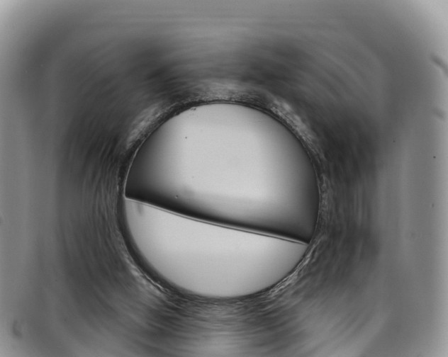 X0000098210058200804241111