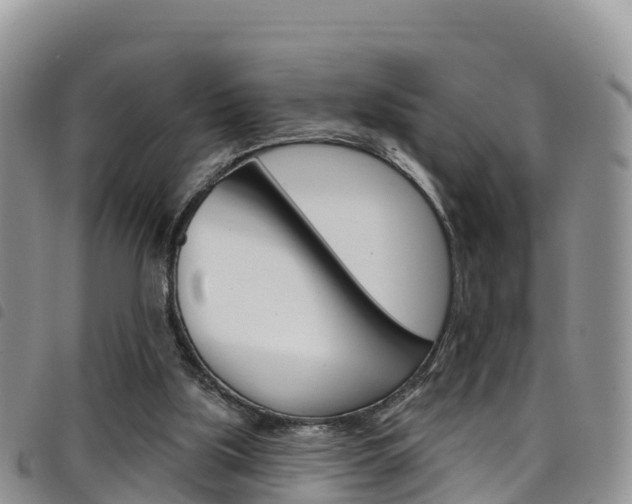 X0000098210059200804241111