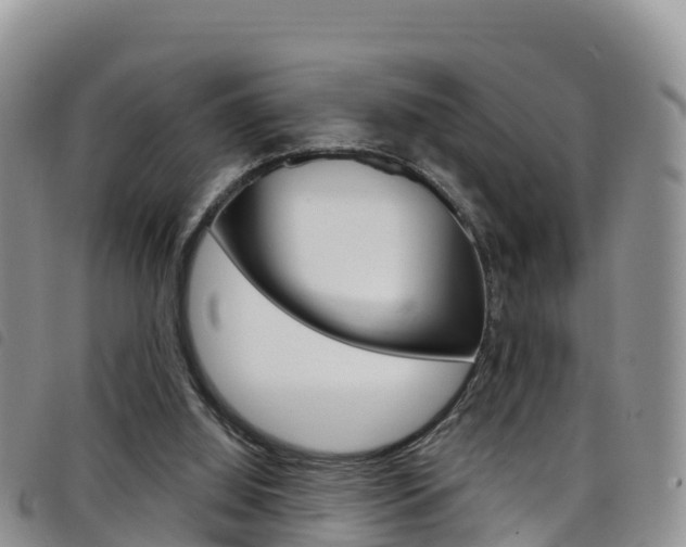 X0000098210060200804241111