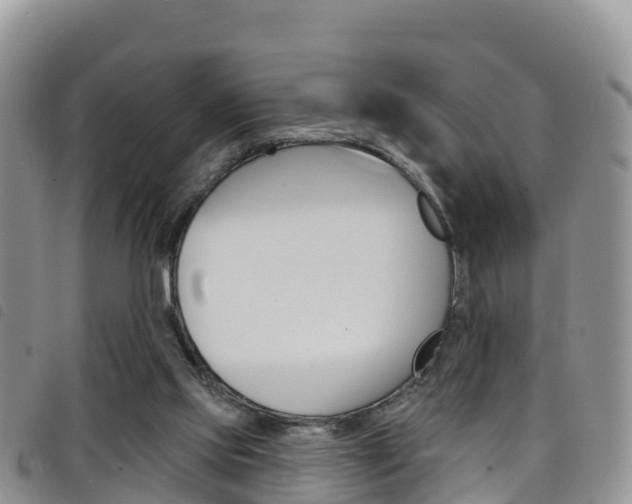 X0000098210061200804241111