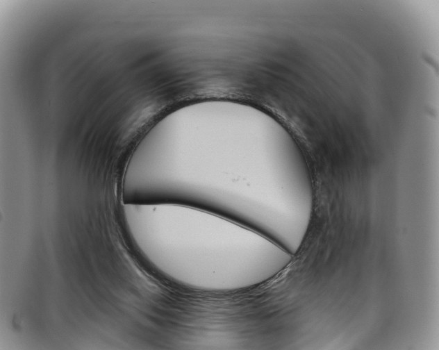 X0000098210062200804241111