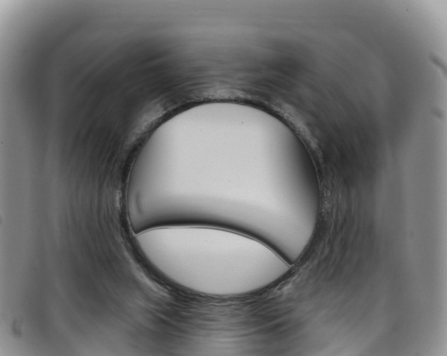 X0000098210063200804241111