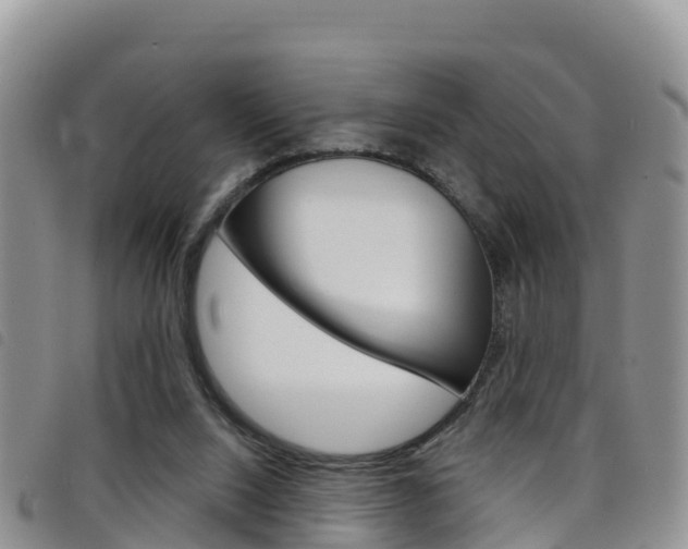 X0000098210064200804241111
