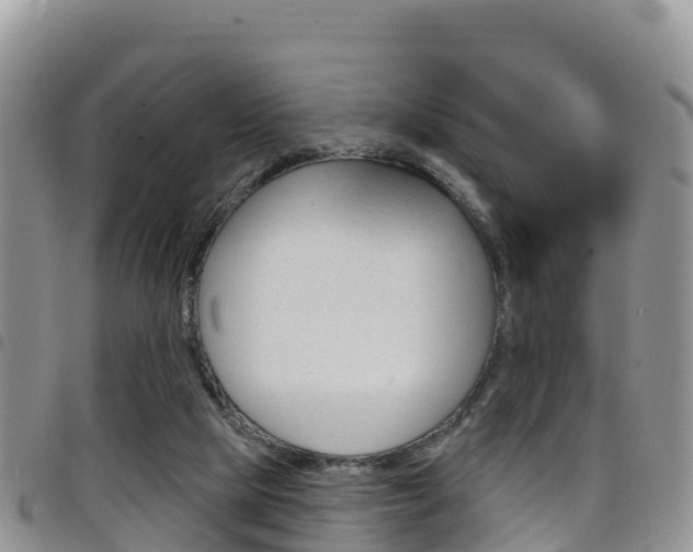 X0000098210065200804241111