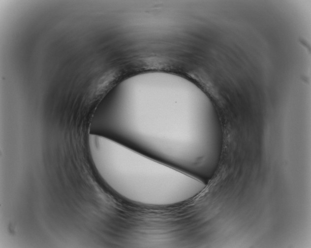 X0000098210066200804241111