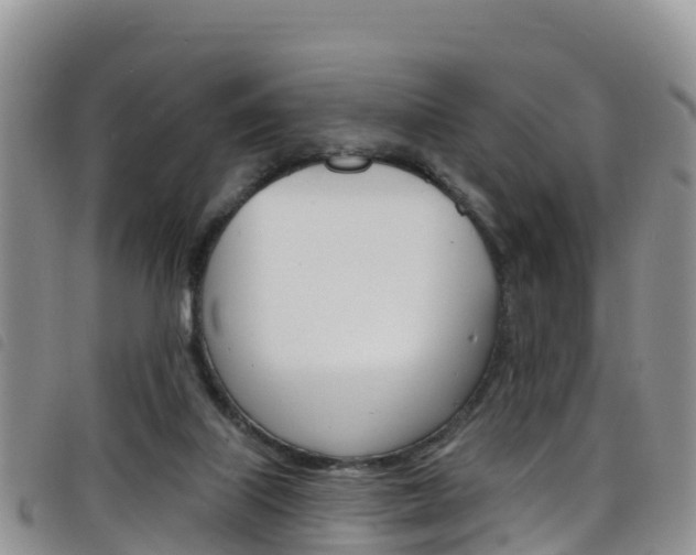 X0000098210067200804241111