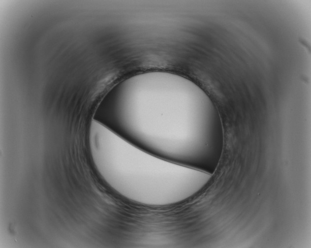 X0000098210068200804241111