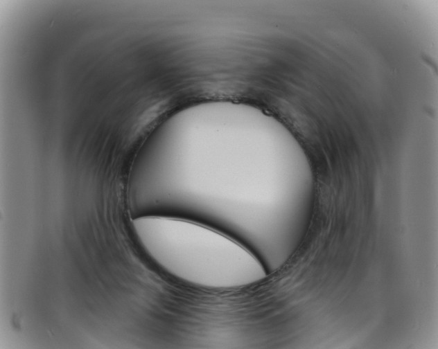 X0000098210071200804241111