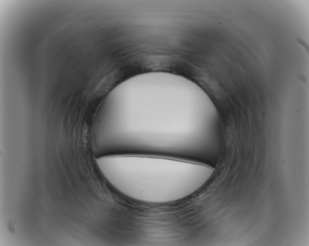X0000098210073200804241111