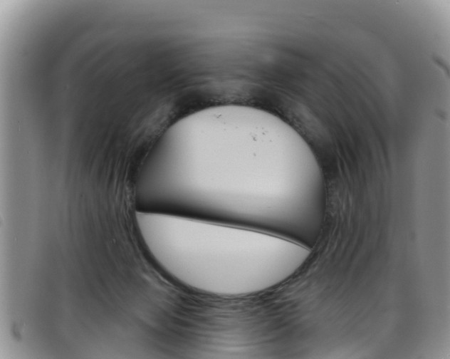 X0000098210077200804241111