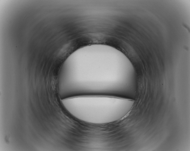 X0000098210078200804241111