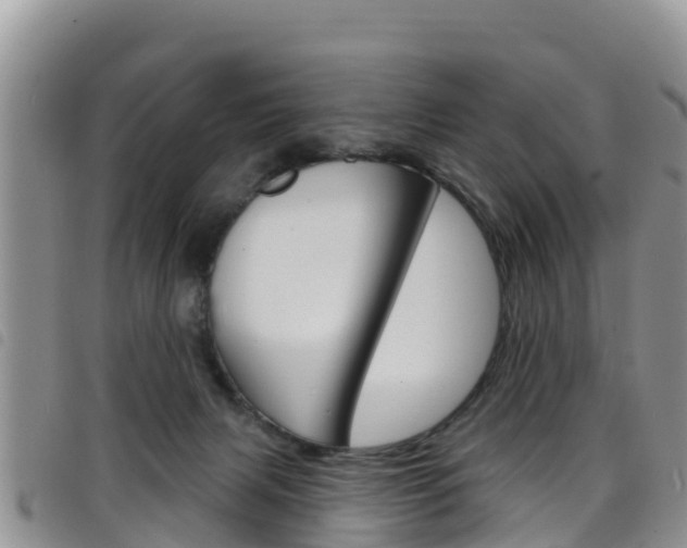X0000098210079200804241111