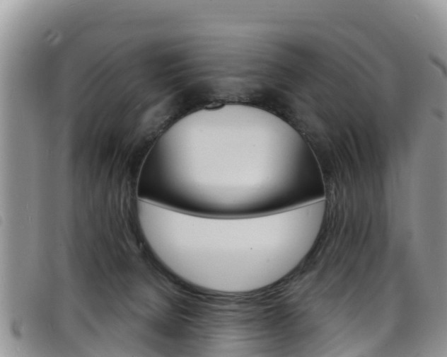 X0000098210080200804241111