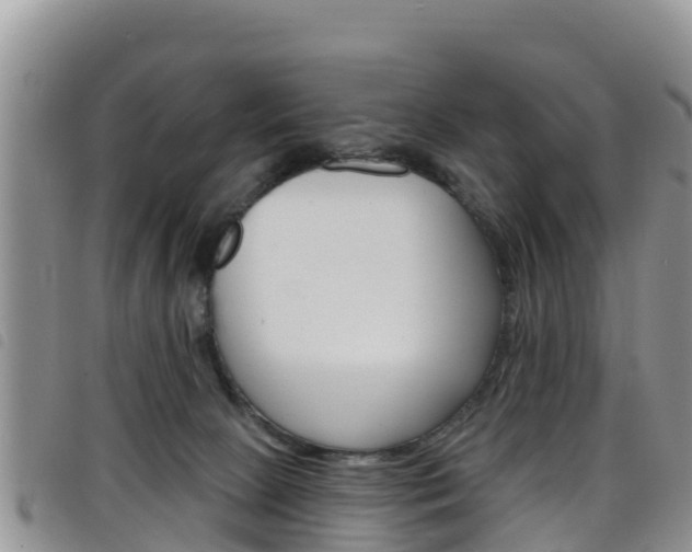 X0000098210081200804241111