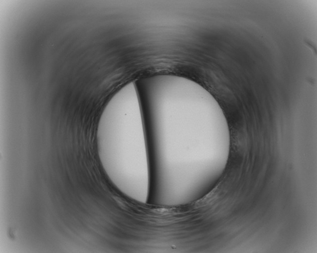 X0000098210082200804241111