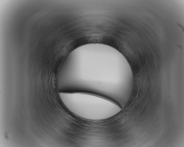 X0000098210083200804241111