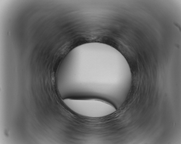 X0000098210085200804241111