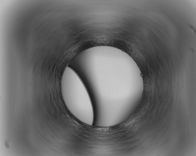 X0000098210089200804241111