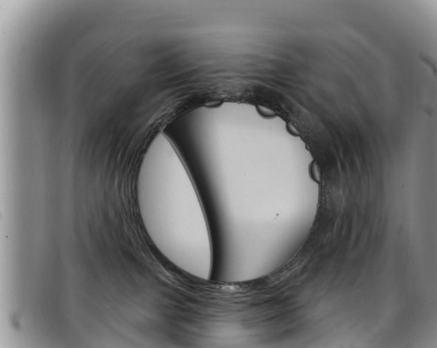 X0000098210091200804241111