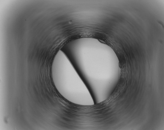 X0000098210093200804241111