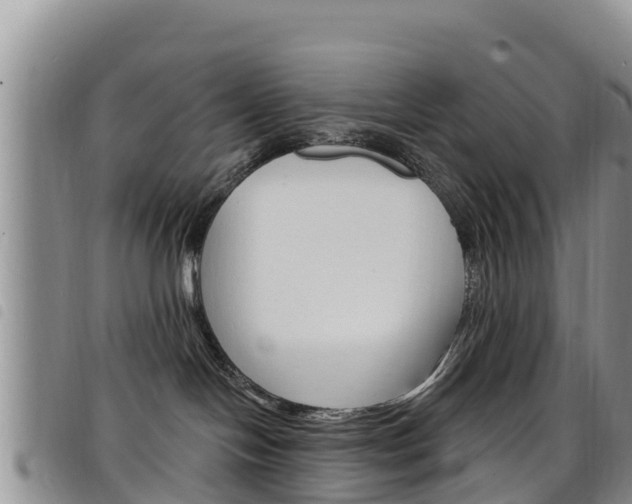 X0000098210094200804241111