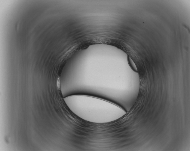 X0000098210095200804241111