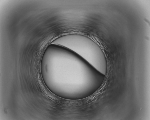X0000098210097200804241111
