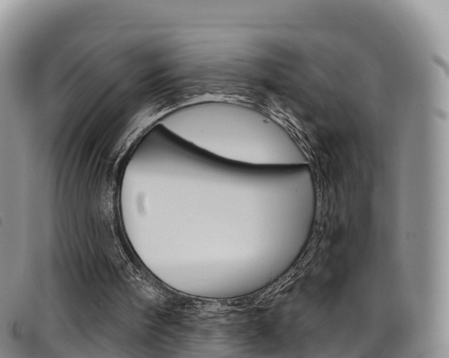 X0000098210098200804241111