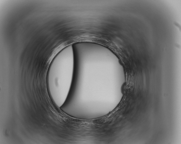X0000098210099200804241111