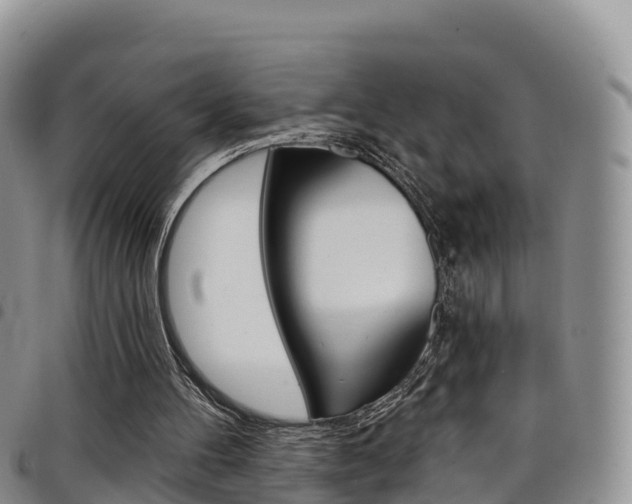 X0000098210100200804241111