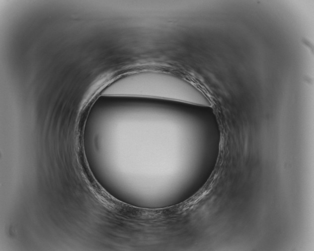 X0000098210101200804241111