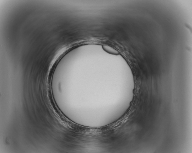 X0000098210102200804241111