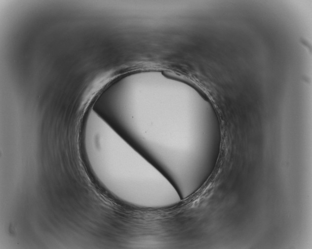 X0000098210103200804241111