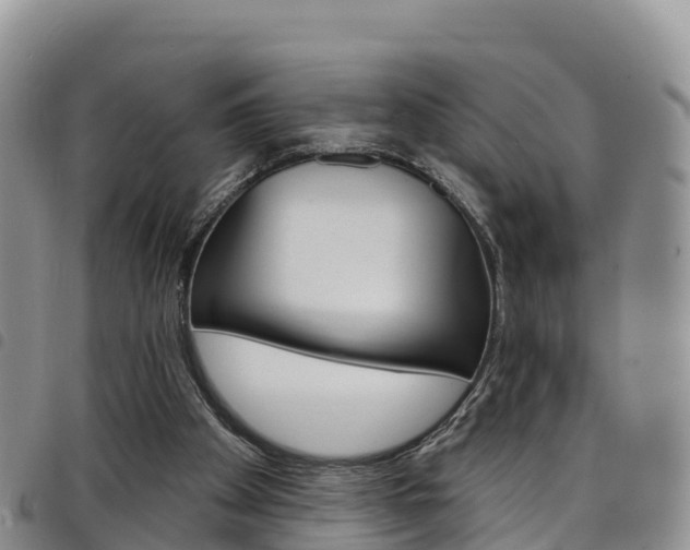 X0000098210105200804241111