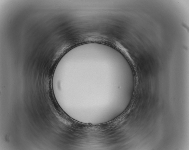 X0000098210106200804241111