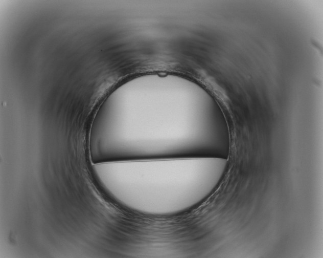 X0000098210107200804241111