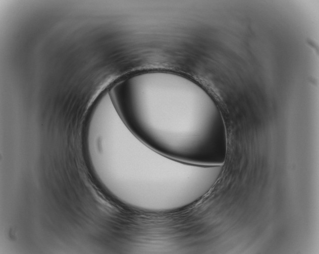 X0000098210108200804241111