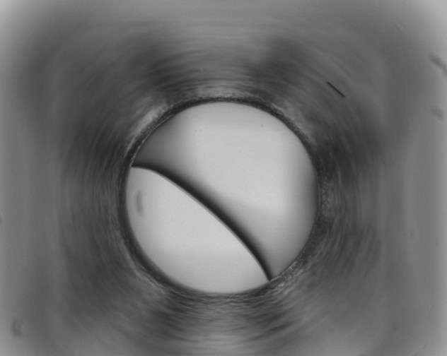 X0000098210111200804241110
